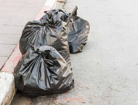 Garden waste removal services in Seven Kings